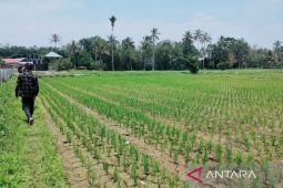 BPBD Rejang Lebong siapkan mesin pompa penyedot air