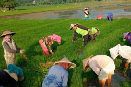 SKI terima keluhan petani penggarap Jabar sulit dapat pupuk subsidi