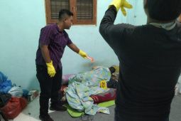 Petani tewas tertimpa pohon saat buka lahan di Aceh Timur