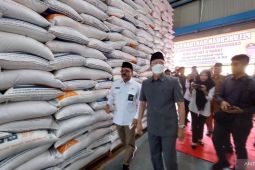 Bengkulu percepat bangun irigasi cegah terlambat masa tanam padi
