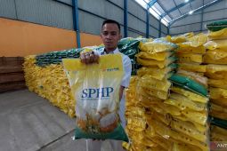 Stok beras di Bengkulu  cukup 3-6 bulan