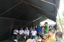 Kodam Pattimura gandeng Yayasan Bina Tani kembangkan budidaya sayuran