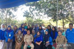 Wali Kota Pangkalpinang kunjungi WKPPkelompok Tani Harapan