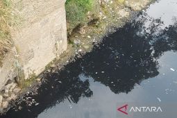 Air Sungai Cileungsi kembali menghitam dan ikan-ikan mati