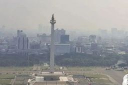Pengamat: Kurangi polusi, pemerintah perlu batasi penggunaan kendaraan pribadi
