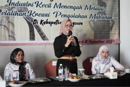 Pemkab Pringsewu gelar penguatan IKM melalui pelatihan kreasi