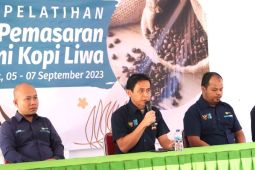Gelar pelatihan produksi dan pemasaran kopi Liwa, PLN dorong pertumbuhan ekonomi daerah