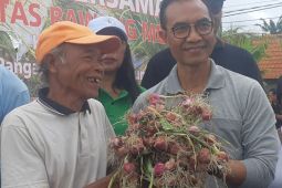 Pemkab Badung minta petani majukan budi daya bawang merah