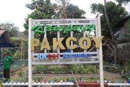 Pemprov Banten apresiasi warga Tangerang budidaya daun kelor atasi stunting