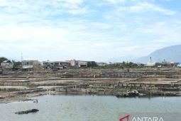 Petani penggaraman yang tegar di Kampung Nelayan Kota Palu