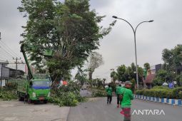 BMKG prakirakan potensi angin kencang di Bengkulu capai 34 knots