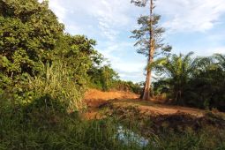 Dinas LH duga perusahaan HTI cemari sumber air bersih warga Seponti