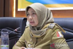 Pemkab Nagan Raya sosialisasi uji kompetensi jabatan tinggi pratama