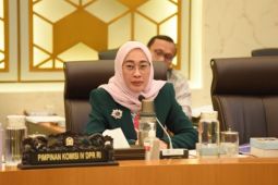 RUU BUMN kuatkan kementerian dan akselerasi ekonomi