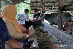 Distan Mukomuko deteksi dini ternak terjangkit Jembrana
