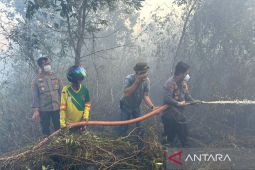 Petugas berjibaku padamkan karhutla dekat Bandara Syamsudin Noor