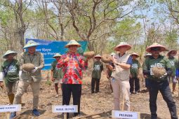 Wakil Bupati Madiun panen raya tanaman porang di Desa Sumberbendo