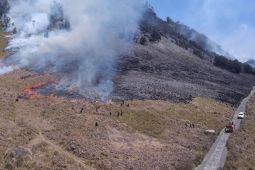BB TNBTS: Kerusakan akibat karhutla di kawasan Bromo capai 504 ha
