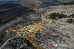 Hakim vonis terdakwa karhutla Bromo 2,5 tahun penjara