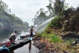 Yayasan Orangutan basahi lahan guna cegah kebakaran