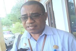 BKPSDM Mimika: Informasi penerimaan CPNS tidak benar