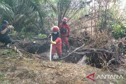 BPPI ungkap "hotspot" di Kalbar meningkat sampai 400 persen