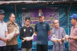 Wali Kota Aditya panen bebek "Peking" di Kemuning