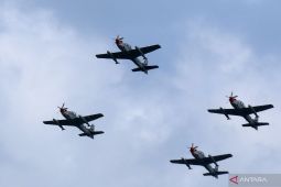 Dua pesawat Super Tucano TNI AU jatuh di TNBTS Pasuruan