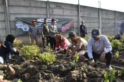 DKPP Surabaya bersama kelompok tani tanam cabai serentak