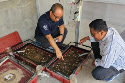 Dorong produktivitas ekonomi pesantren dengan manfaatkan solusi IoT