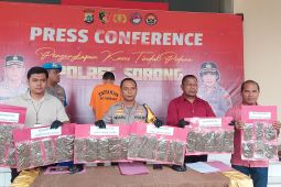Polres Sorong: BRP tersangka pembawa ganja 1,2  kilogram
