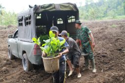 Kodim Rejang Lebong salurkan bantuan 1.000 batang bibit kopi robusta