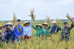 Pemkot Jambi gelar Festival Sedekah Bumi Tanjung Sari