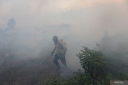 Pemkab Tapin rancang kawasan sentra Rawit Hiyung anti karhutla