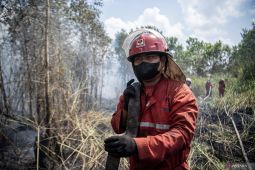 Sejumlah wilayah berpotensi alami karhutla hingga hujan lebat