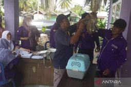 Distan Mukomuko targetkan pemberian vaksin rabies tuntas September
