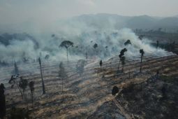 Polres Tebo-Jambi selidiki penyebab karhutla di Sumay