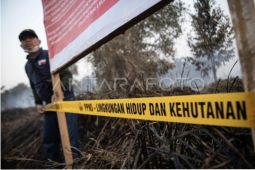 Polda Sumsel dan KLHK segel lahan bekas karhutladi OKI