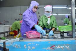 BMI beri pelatihan para pekerjanya