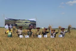 Ministry carries out movement to handle El Nino in 100 districts