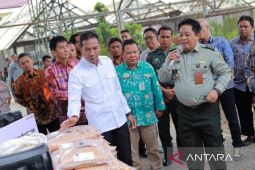 Keberadaan BSIP dibutuhkan dalam pengawasan dan pengawalan ketersediaan pangan