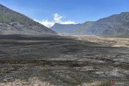 Pemulihan ekosistem kawasan Bromo akibat kebakaran butuh waktu hingga 5 tahun