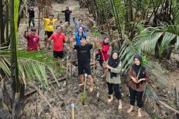 Astra Motor Kalbar tanam 500 bibit mangrove