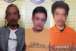 Polres Taput dapat apresiasi MUI berhasil berantas narkoba