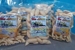 Usaha Pilus Ikan Tenggiri Lisnawati Terus Berkembang Setelah Jadi Mitra Binaan PT Timah Tbk