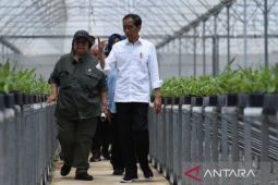 Presiden pantau persemaian Mentawir sebagai bentuk komitmen lingkungan