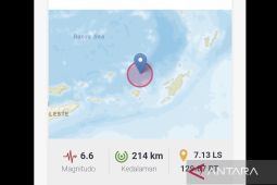 Tak berpotensi tsunami, Gempa M6,6 guncang Tanibar Maluku