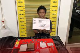 Polisi Merangin tangkap DPO narkoba bersembunyi di kebun karet