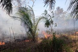 BMKG deteksi delapan titik panas  di Kaltim
