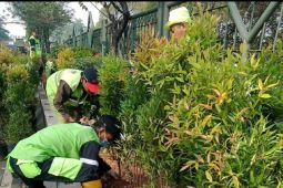 Kemarau panjang, Disbudpar tambah jadwal penyiraman tanaman